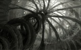 Hometree_spiral_v001